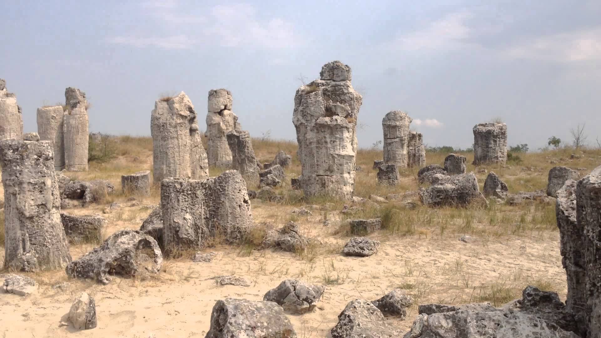 Побитите камъни - Зелен Свят